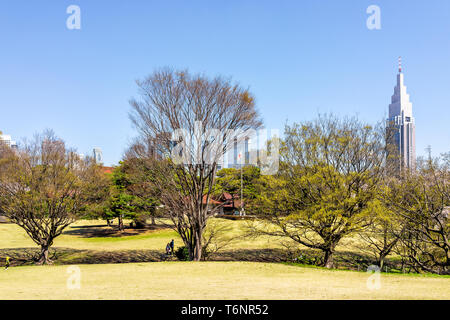 Tokyo, Japan - 3. April 2019: Yoyogi Park in der Nähe der Meiji Schrein mit grünen Bäumen und Rasen und das Stadtbild der Stadt während des Europäischen Frühlings Stockfoto