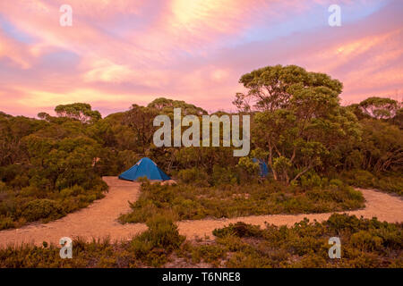 Zelte auf dem Campingplatz Hakea entlang der Kangaroo Island Wilderness Trail Stockfoto