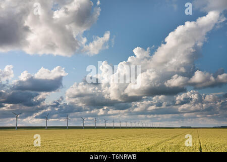 Wolkengebilde im Abend Sonnenlicht über niederländische Getreidefelder Stockfoto