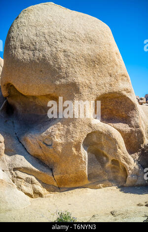 Ein Totenkopf Rock im Joshua Tree National Park, Kalifornien Stockfoto