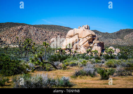 Balancing wüste Felsen in Joshua National Park, Kalifornien Stockfoto