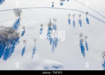 Verschneite Golfplatz Bergkramerhof in Wolfratshausen, Bäume mit langen Schatten, Drone, Oberbayern, Bayern, Deutschland Stockfoto