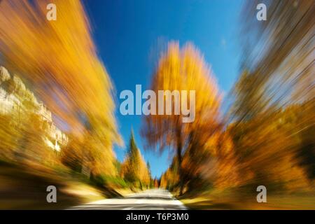 Fahren Sie durch die herbstlichen Dolomiten, Italien, Europa Stockfoto