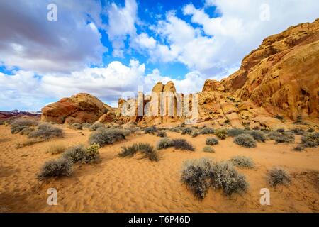 Rainbow Vista, rote Sandsteinfelsen, Mojave Wüste, Sandstein Bildung, Valley of Fire State Park, Nevada, USA Stockfoto