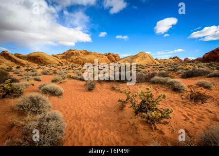 Rainbow Vista, rote Sandsteinfelsen, Mojave Wüste, Sandstein Bildung, Valley of Fire State Park, Nevada, USA Stockfoto