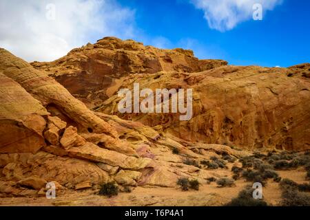 Rainbow Vista, rote Sandsteinfelsen, Mojave Wüste, Sandstein Bildung, Valley of Fire State Park, Nevada, USA Stockfoto