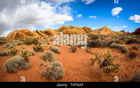 Rainbow Vista, rote Sandsteinfelsen, Mojave Wüste, Sandstein Bildung, Valley of Fire State Park, Nevada, USA Stockfoto