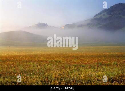 Morgen Nebel in der Piano Grande, Castelluccio, Umbrien, Italien, Europa Stockfoto