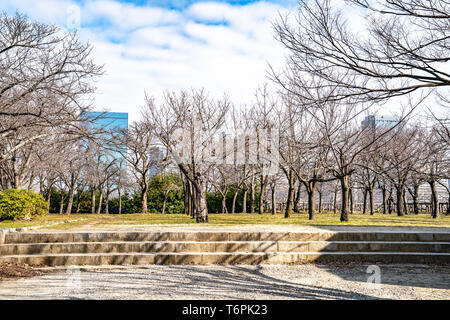 Japanisch, Touristen, Reisende ging um Osaka Castle Park in Mar 2018 mit trockenen Baum um, Oaska, Japan. Stockfoto