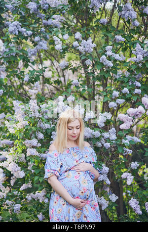 Frühling Stimmung, schöne schwangere Frau Duft blühender Baum, die Natur genießen, rosa Blumengarten. zukünftige Mutter entspannen und genießen das Leben in der Natur. Stockfoto