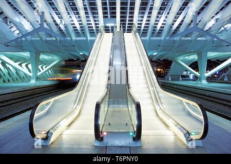 Gare de Liege-Guillemins Bahnhof von Architekt Santiago Calatrava in Lüttich, Belgien, Europa Stockfoto