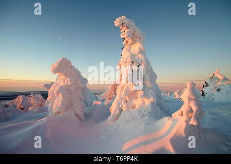 Wintermorgen am Mt. Brocken, Sachsen-Anhalt, Deutschland, Europa Stockfoto