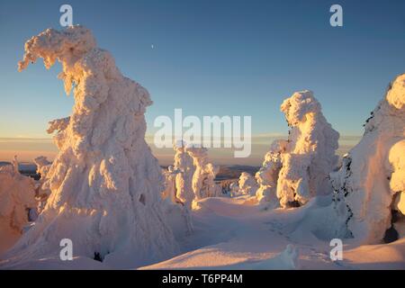 Wintermorgen am Mt. Brocken, Sachsen-Anhalt, Deutschland, Europa Stockfoto