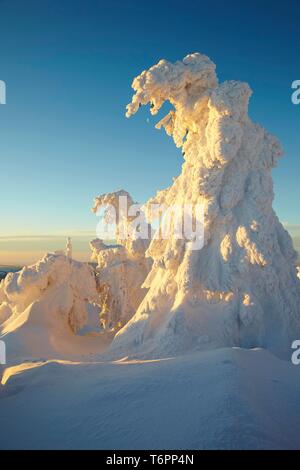 Wintermorgen am Mt. Brocken, Sachsen-Anhalt, Deutschland, Europa Stockfoto