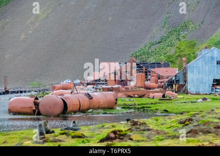 Viel übrig gebliebene Anlagen und Rusty Lagertanks Linie der Perimeter der ehemaligen Walfangstation in Stromness. Stockfoto