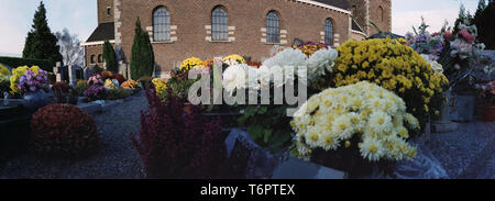 Panorama der Chrysanthemen auf einem Friedhof für alle heiligen Tag mit einer Kirche im Hintergrund Stockfoto