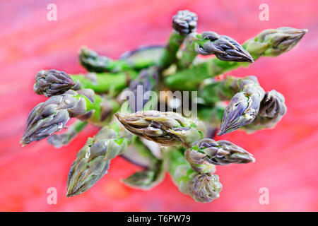 Overhead Bündel von grünem Spargel auf einem farbigen Hintergrund, Wassertropfen auf der veegtables, Makro Fotografie Stockfoto