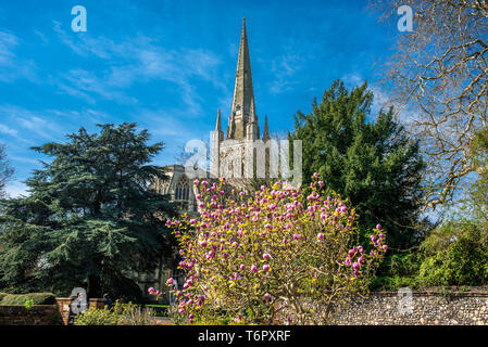 Norwich Cathedral im Stadtzentrum von Norwich, Norfolk, East Anglia, England, UK. Stockfoto