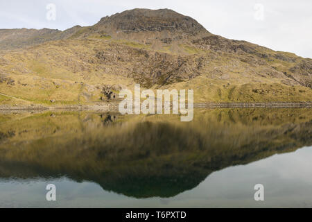 Grib Goch in den Spiegel - wie Wasser von Llyn Llydaw, Snowdonia wider. Stockfoto