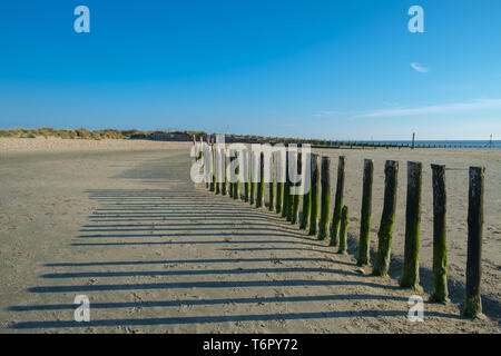 Holz- Meer Abwehr werfen lange Schatten in der Abendsonne Stockfoto