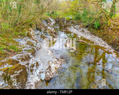 Reflexionen der Wald an den Ufern des flachen, klaren Wassern des Flusses Mawddach, in Gwynedd, Wales, Stockfoto