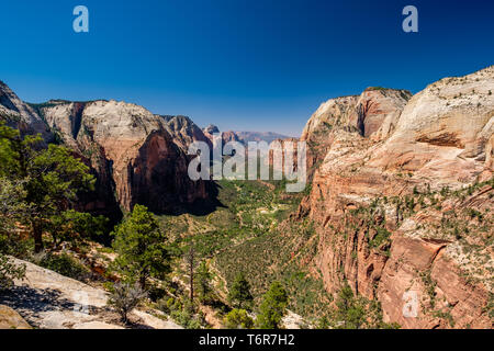 Landschaft im Zion National Park Stockfoto