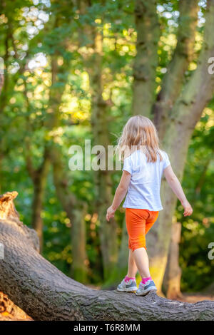 Junge Mädchen zu Fuß auf einen großen Baumstamm Stockfoto