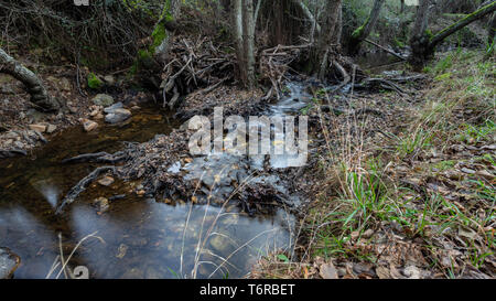 Alte Maschine, schöpften Wasser Stockfoto