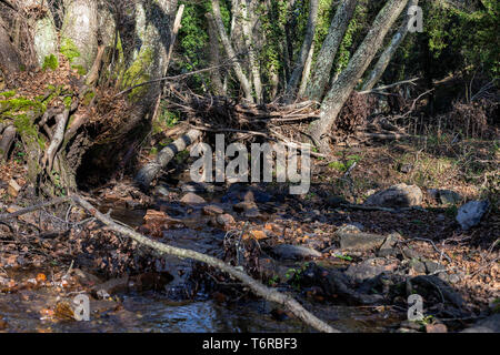 Alte Maschine, schöpften Wasser Stockfoto