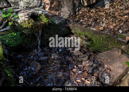 Alte Maschine, schöpften Wasser Stockfoto