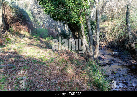 Alte Maschine, schöpften Wasser Stockfoto