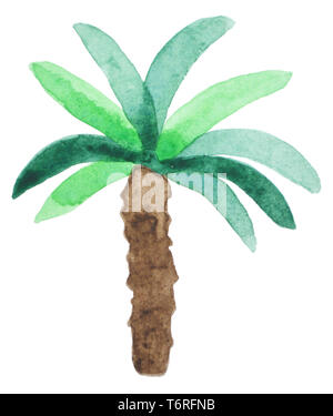 Aquarell Palme. Strand style Hand gezeichnet. Tropic Natur Stockfoto