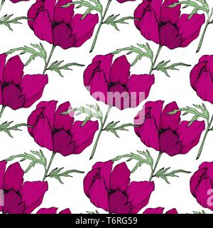 Anemone Blumen botanischen Blumen. Schwarz und weiß eingraviert Tinte Art nahtlose Muster. Stock Vektor