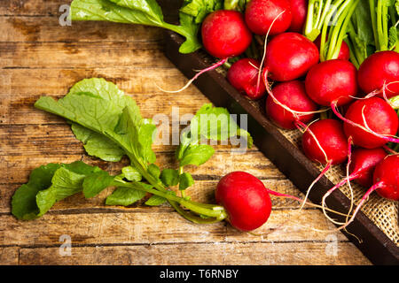 Frische Radieschen mit Blättern auf einem Holztisch Stockfoto