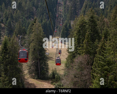 Schweizer Alpen Seilbahnen lift Sommer grüne Bäume um Stockfoto