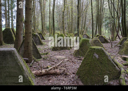 Die Zähne des Drachen tank Hindernisse in den Westwall in Hollerath, Deutschland Stockfoto