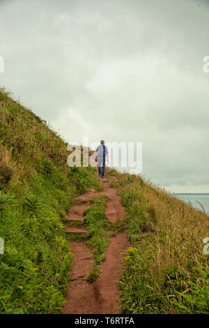 Lydstep nr Tenby Pembrokeshire Wales Stockfoto