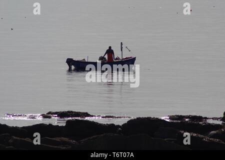 Fischer Einstellung Hummer Töpfe in der Morgendämmerung auf einen ruhigen Sommer. Crail, Fife, Schottland, Großbritannien. Stockfoto