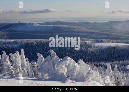 Blick vom Brocken über eine Winterlandschaft tief im Schnee, Sachsen-Anhalt, Deutschland Stockfoto