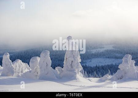 Blick vom Brocken über eine Winterlandschaft tief im Schnee, Sachsen-Anhalt, Deutschland Stockfoto