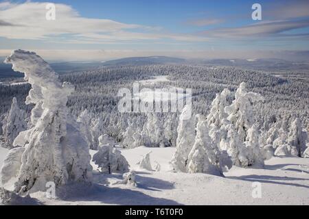 Blick vom Brocken über eine Winterlandschaft tief im Schnee, Sachsen-Anhalt, Deutschland Stockfoto