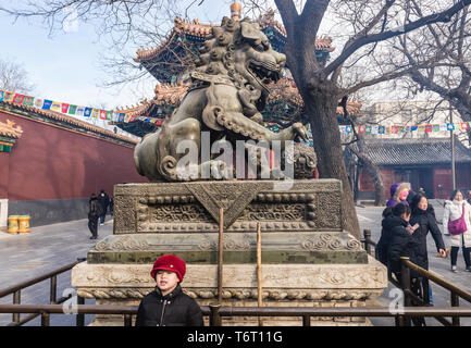 Männlichen Vormund Löwe mit Kugel in Yonghe Tempel namens auch Lama Tempel der Gelug-schule des tibetischen Buddhismus in Dongcheng District, Beijing, China Stockfoto