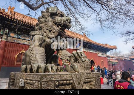 Weibliche Wächter Löwe mit Cub in Yonghe Tempel namens auch Lama Tempel der Gelug-schule des tibetischen Buddhismus in Dongcheng District, Beijing, China Stockfoto