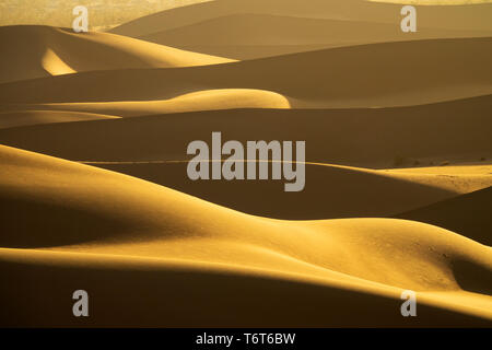 Hintergrund Mit der Sanddünen in der Wüste Stockfoto