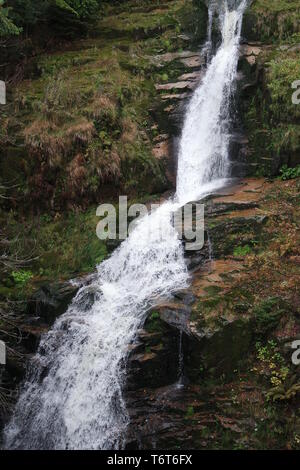 Kamienczyk Wasserfall, Riesengebirge Stockfoto