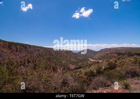 Einen malerischen Blick von der Prescott National Forest in Arizona, USA Mit einem strahlend blauen Himmel im Frühling Stockfoto