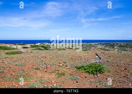 "Arikok" Nationalpark in Aruba. Stockfoto
