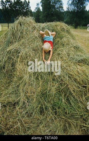 Sommer in den 1970er Jahren. Ein Bild von einem Jahrzehnt, wenn es immer noch Leute bewirtschaften ihr Land in einem kleinen Maßstab. Abgebildet ist ein Junge spielt im Heu auf einem Feld. Etwas, was Spass macht. Foto Kristoffersson. Ref CV 29-16. Schweden 1973 Stockfoto