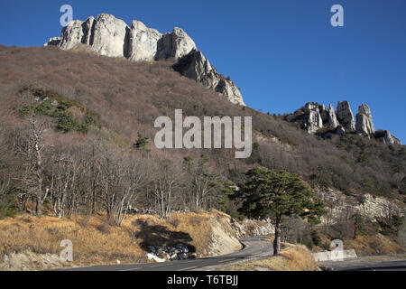 Haarnadelkurve auf der Straße zum Col de Rousset Parc Naturel Regional du Vercors Frankreich Stockfoto