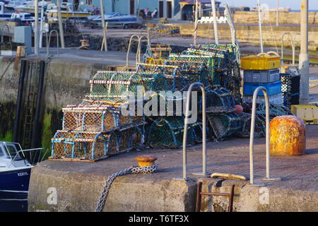 Hummer Töpfen bei St Monans Hafen an einem sonnigen Sommerabend, Fife, Schottland, Großbritannien. Stockfoto